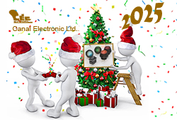 2025 Chinese New Year Holiday